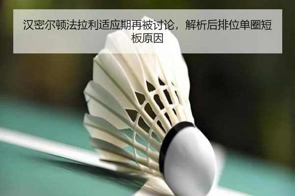 han-mi-er-dun-fa-la-li-shi-ying-qi-zai-bei-tao-lun-jie-xi-hou-pai-wei-dan-quan-duan-ban-yuan-yin-2-876.jpg