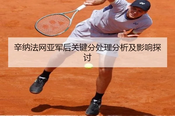辛纳法网亚军后关键分处理分析及影响探讨